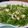 よっぴー＊'s cooksnap of when they made 簡単★水菜とささみのさっぱりサラダ.