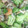 クックE9O35V☆'s cooksnap of when they made アヒージョの素で海老の簡単炒め♪.