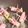 クックHJB3B6☆'s cooksnap of when they made アスパラ◎ベーコン巻き.