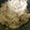 nabeo_mio_'s cooksnap of when they made しらすと梅の炊き込みご飯.