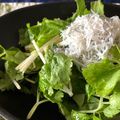 クックNVMERR☆'s cooksnap of when they made 最強☆ホワイトセロリとパクチーのサラダ.