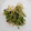 クッキングホチョ's cooksnap of when they made 豆苗ともやし、ピーマンの野菜炒め.