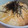 めいぷるhoney's cooksnap of when they made そうめんつゆで★とろろご飯.