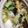 ﾌﾞﾚﾝﾀﾞ's cooksnap of when they made インスタントで！酸辣湯麺♪.