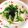 ぱんだ170071's cooksnap of when they made ウエスト締-食物繊維ピーマンワカメサラダ.