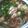 みみよりちゃん's cooksnap of when they made ☆簡単☆親子蕎麦.