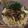 マーヤ1979's cooksnap of when they made ねばとろ！ピリ辛！冷やしうどん.