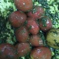 mochicoro✿'s cooksnap of when they made すり鉢で作る♪バジルソース♪.