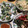 masae915's cooksnap of when they made 病みつき♪豆苗とナッツのタイ風サラダ.