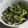 クックGB6431☆'s cooksnap of when they made 大量消費！キャベツの胡麻和え.