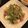 nuit's cooksnap of when they made ☆水菜とマグロのサラダ☆.