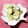 ねっちゃんっ's cooksnap of when they made 簡単★きゅうりのマヨネーズソースがけ.