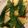 クックX9MXPE☆'s cooksnap of when they made おもてなし♪オクラ×トマト～レモンソース.