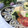 いつの間にかママ笑's cooksnap of when they made 10分で簡単！しらたきのたらこ炒め♪.