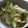 withスマーフ's cooksnap of when they made あまく柔らか♪キャベツの麺つゆ出汁炒め.