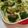 ☆そらママ★'s cooksnap of when they made ☆マカロニグラタン☆.