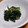 しょみ一's cooksnap of when they made 簡単！ちょっと甘めのほうれん草のごま和え.