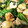 TK1007's cooksnap of when they made ほうれん草と鶏肉の醤油マヨ炒め♪簡単♡.