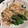 メルレンママ's cooksnap of when they made ばあばのレシピ わらびのお浸し.