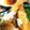 ユーロン's cooksnap of when they made ぷりっぷりのエビフライ.