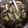 アピナス's cooksnap of when they made 玉ねぎとしいたけのお味噌汁♪.