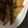 料理の新米＿やま's cooksnap of when they made キャベツとツナの揚げ春巻き！.