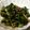 クックV4WJS0☆'s cooksnap of when they made セロリの葉っぱ炒め.