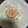 chisaco9's cooksnap of when they made 熱っ！てならない目玉焼き.