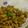〈＊HATO＊〉's cooksnap of when they made 大豆たっぷり和風豆キーマカレー.