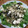 クックRCVQ1M☆'s cooksnap of when they made わかめともやしの和え物.