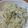 masana☆'s cooksnap of when they made シラス入り無限キャベツ♪.
