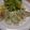 dめぐb's cooksnap of when they made うまうま♪♪『ツナde小松菜★餃子』.