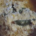 terra-sun's cooksnap of when they made ～江戸の味～生しらすの卵とじ.