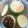 白ぽぽ's cooksnap of when they made 簡単♪さっぱり☆紅白なます～★.