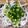 ﾋﾟﾛﾐ♡'s cooksnap of when they made ふぐ皮の酢の物.