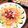 なおしゃんぺっ's cooksnap of when they made パーティに！サーモンと鯛のカルパッチョ.