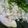 gojira_minira's cooksnap of when they made と〜ってもおいしい♪干物でばら寿司♪.