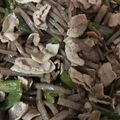 ココキキララ's cooksnap of when they made ピーマンと豚肉の甘辛炒め（コンニャク入）.