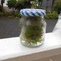 しのばぁたん's cooksnap of when they made 大葉の保存方法.