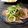 misatona's cooksnap of when they made 新玉ねぎと生ハムと水菜の和風カルパッチョ.