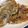 mぱなんが's cooksnap of when they made 冷めても柔らかい豚の生姜焼き.