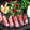 クックCNUQ1V☆'s cooksnap of when they made 水切りヨーグルト＆生ハムの前菜.