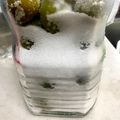 wnemu801's cooksnap of when they made グラニュー糖で☆我が家の簡単梅シロップ.