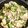 ノンシュガー610's cooksnap of when they made ゴーヤチャンプル☆*:｡:*☆基本の和食.