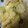 美白姫's cooksnap of when they made 万能なおかず白菜の揚げ煮付け.