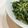 kanon0208's cooksnap of when they made ほうれん草のじゃこ海苔炒め.