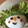Yokchina's cooksnap of when they made ずぼらに丸ごと！たまごちゃんサンド♪.