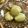 ☆Rokko☆'s cooksnap of when they made そら豆白玉.