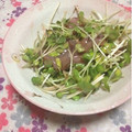 ぽぽきゅ's cooksnap of when they made 速攻おつまみ☆貝割れ大根といかの塩辛和え.