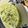Zukafun's cooksnap of when they made ☆ほうれん草のクリームスープ☆.